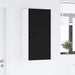 Dulap suspendat de bucătărie cu raft Negru 50 x 31 x 100 cm - WALTI WALTI