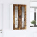 Dulap suspendat de bucătărie Stejar fumuriu 60 x 31 x 100 cm - WALTI WALTI