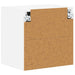 Dulap de bucătărie cu raft Alb 40 x 31 x 40 cm Lemn compozit - WALTI WALTI