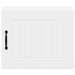 Dulap de bucătărie 2 pcs Alb 50 x 31 x 40 cm Lemn compozit - WALTI WALTI