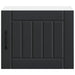 Dulap de bucătărie Negru 50 x 31 x 40 cm Lemn compozit - WALTI WALTI