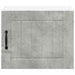 Dulap de bucătărie Gri din beton 50 x 31 x 40 cm Lemn compozit - WALTI WALTI