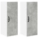 Dulap de bucătărie cu raft 2 pcs Gri din beton 30 x 31 x 80 cm - WALTI WALTI