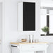 Dulap de bucătărie cu raft Negru 40 x 31 x 80 cm Lemn compozit - WALTI WALTI