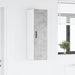 Dulap de bucătărie Gri din beton 30 x 31 x 100 cm Lemn compozit - WALTI WALTI