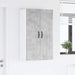 Dulap de bucătărie Gri din beton 60 x 31 x 100 cm Lemn compozit - WALTI WALTI