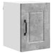 Dulap de bucătărie Gri din beton 30 x 31 x 40 cm Lemn compozit - WALTI WALTI