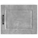 Dulap de bucătărie cu raft 2 pcs Gri din beton 50 x 31 x 40 cm - WALTI WALTI