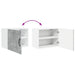 Dulap de bucătărie cu raft 2 pcs Gri din beton 50 x 31 x 40 cm - WALTI WALTI