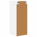 Dulap de bucătărie cu raft Alb 30 x 31 x 80 cm Lemn compozit - WALTI WALTI
