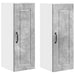 Dulap de bucătărie cu raft 2 pcs Gri din beton 30 x 31 x 80 cm - WALTI WALTI