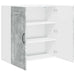 Dulap de bucătărie Gri din beton 80 x 31 x 80 cm Lemn compozit - WALTI WALTI