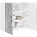 Dulap de bucătărie Gri din beton 80 x 31 x 80 cm Lemn compozit - WALTI WALTI