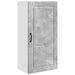 Dulap de bucătărie Gri din beton 50 x 31 x 100 cm Lemn compozit - WALTI WALTI