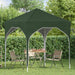 Cort de Petrecere Pop-up 194 x 194 x 245 cm Verde - WALTI WALTI