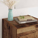 Bufet cu sertar Lemn Vechi 34,5 x 34 x 90 cm Lemn compozit - WALTI WALTI