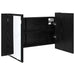 Dulap cu oglindă pentru baie Stejar Negru 80 x 12 x 45 cm - WALTI WALTI