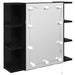 Dulap cu oglindă Stejar Negru 70 x 16,5 x 60 cm Lemn compozit - WALTI WALTI