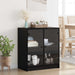 Dulap lateral Stejar Negru 68 x 37 x 75,5 cm Lemn compozit - WALTI WALTI