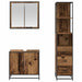 Set de mobilier pentru baie 3 pcs Lemn Vechi Lemn compozit - WALTI WALTI