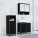Set de mobilier pentru baie 3 pcs Stejar Negru Lemn compozit - WALTI WALTI