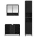 Set de mobilier pentru baie 3 pcs Stejar Negru Lemn compozit - WALTI WALTI