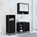 Set de mobilier pentru baie 3 pcs Stejar Negru Lemn compozit - WALTI WALTI