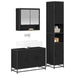 Set de mobilier pentru baie 3 pcs Stejar Negru Lemn compozit - WALTI WALTI