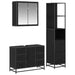 Set de mobilier pentru baie 3 pcs Stejar Negru Lemn compozit - WALTI WALTI