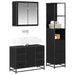 Set de mobilier pentru baie 3 pcs Stejar Negru Lemn compozit - WALTI WALTI