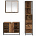 Set de mobilier pentru baie 3 pcs Lemn Vechi Lemn compozit - WALTI WALTI