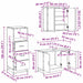 Set de mobilier pentru baie 3 pcs Lemn Vechi Lemn compozit - WALTI WALTI