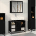 Set de mobilier pentru baie 2 pcs Stejar Negru Lemn compozit - WALTI WALTI
