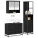 Set de mobilier pentru baie 3 pcs Stejar Negru Lemn compozit - WALTI WALTI