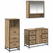 Set de mobilier pentru baie cu sertar 3 pcs Stejar Artizanal - WALTI WALTI