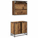 Set de mobilier pentru baie 2 pcs Lemn Vechi Lemn compozit - WALTI WALTI