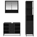 Set de mobilier pentru baie 3 pcs Stejar Negru Lemn compozit - WALTI WALTI