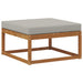 taburet Lemn Solid de Acacia Gri natural și deschis - WALTI WALTI