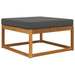 Perna pentru canapea de exterior Antracit 80 x 80 x 8 cm - WALTI WALTI