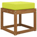 Perna de Șezut pentru Exterior Verde 40 x 40 x 8 cm - WALTI WALTI