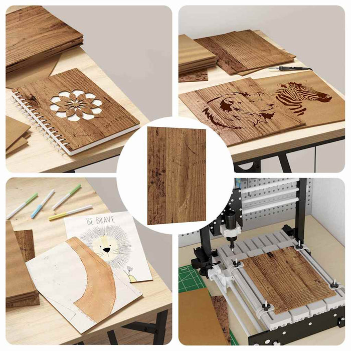 Panouri de decor 50 pcs Lemn vechi 21 x 30 x 0,27 cm - WALTI WALTI