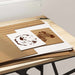 Panouri de decor 12 pcs Alb 40 x 60 x 0.27 cm Lemn compozit - WALTI WALTI