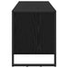Dulap pentru pantofi Stejar Negru 100 x 35 x 44 cm - WALTI WALTI