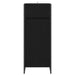 Dulap de Baie Stejar Negru 40 x 30 x 100 cm Lemn compozit - WALTI WALTI