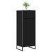 Dulap de Baie Stejar Negru 40 x 30 x 100 cm Lemn compozit - WALTI WALTI