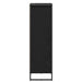Dulap de Baie Stejar Negru 40 x 30 x 100 cm Lemn compozit - WALTI WALTI
