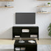 Cabinet TV Stejar Negru 100 x 36 x 49,5 cm Lemn compozit - WALTI WALTI