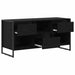 Cabinet TV Stejar Negru 100 x 36 x 49,5 cm Lemn compozit - WALTI WALTI