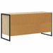 Cabinet TV cu sertar Sonoma 100 x 36 x 49,5 cm Lemn compozit - WALTI WALTI