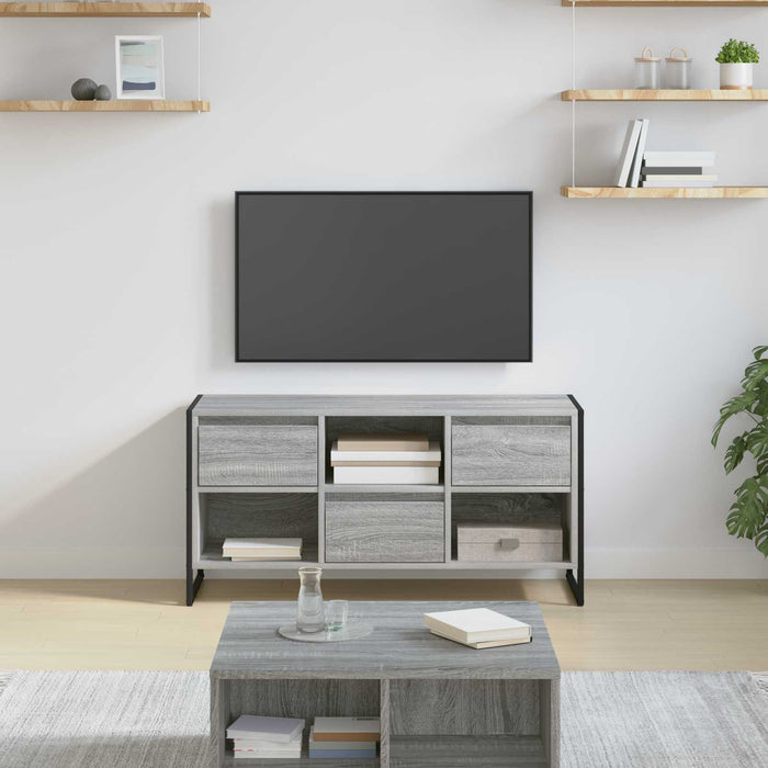 Cabinet TV Gri Sonoma 100 x 36 x 49,5 cm Lemn compozit - WALTI WALTI